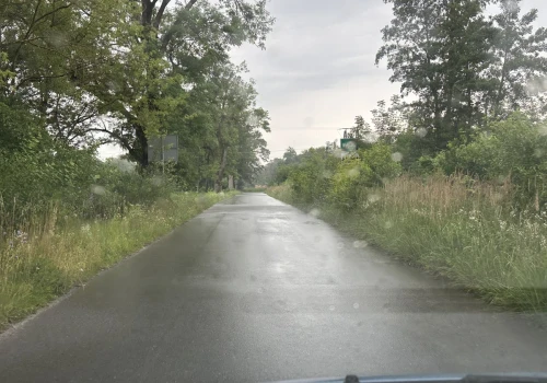 Zarosły nawet znaki