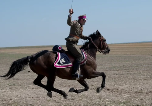 Oszałamiające zwycięstwo nad Armią Konną. Ta bitwa przeszła do legendy