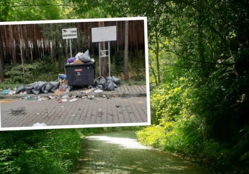 Fotopułapki przegrały ze światłami aut. Nowe kamery wyłapią śmieciarzy na DW 426