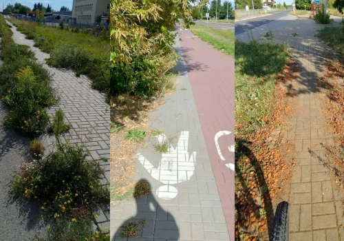 Chodniki i drogi rowerowe zarastają w Lublinie. „W niektórych miejscach zniknęło po pół chodnika”