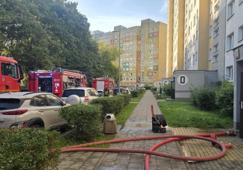 Kłęby czarnego dymu zaniepokoiły mieszkańców. Nie żyje kobieta