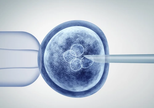 Polacy opracowali przełomową metodę, która może zmienić in vitro