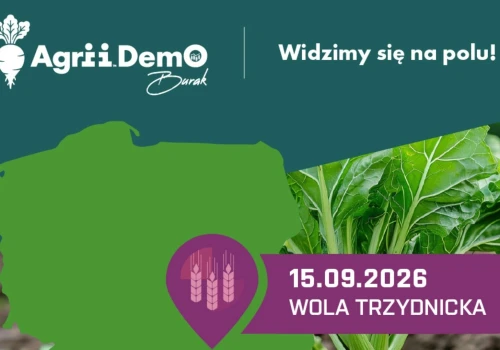 Nawożenie i ochrona buraka cukrowego. AgriiDemo Burak pokaże nowe rozwiązania