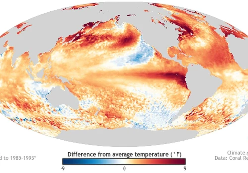 El Niño rozwija się wyjątkowo szybko. Oceanolog ostrzega