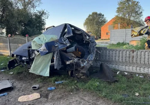 Samochód roztrzaskał się o drzewo. Kierowca cudem przeżył (ZDJĘCIA)
