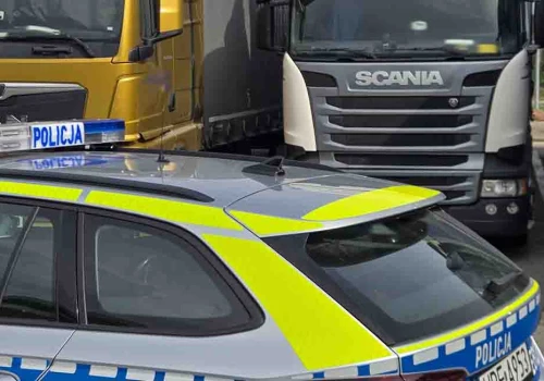 Pijany kierowca ciężarówki wiózł towar z Irlandii. Wpadł w Świecku