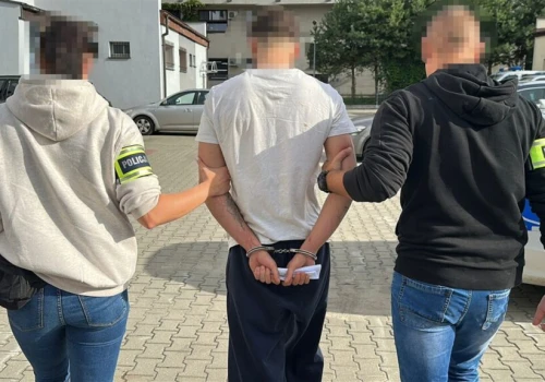 Ponad 260 gramów i 20 zarzutów za narkotyki. Płońszczanin tymczasowo aresztowany na 3 miesiące