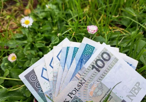 O jakie dopłaty i ekoschematy wnioskowali rolnicy w 2026 r.? Mamy dane ARiMR