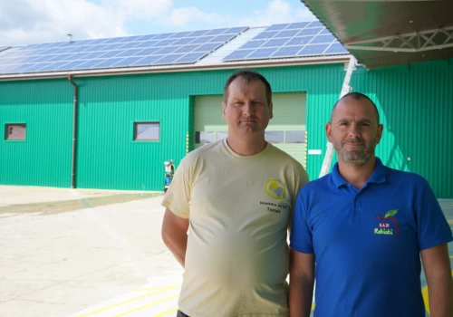 Masz fotowoltaikę? Sam montaż to nie wszystko! PRO GreenENERGY: „Panele trzeba myć”