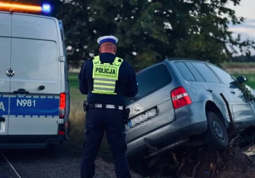 Drzewo zatrzymało auto pod Brusami. Pasażerka trafiła do szpitala