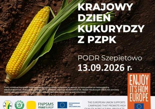 144 odmiany kukurydzy w jednym miejscu. Krajowy Dzień Kukurydzy już 13 września w Szepietowie