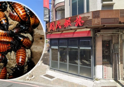 Incydent w popularnej restauracji. Po lokalu zaczęły biegać karaluchy