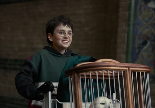 HBO zmienia symbole Hogwartu. Fani Harry’ego Pottera są podzieleni