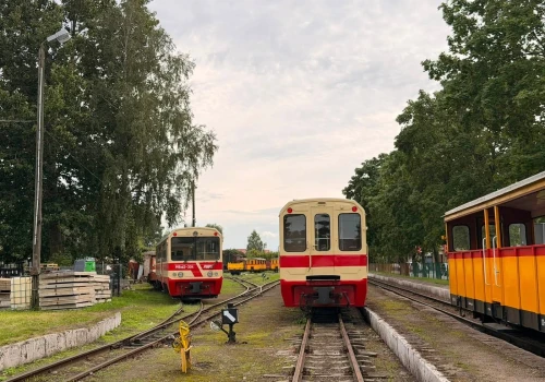 Pociągi wrócą do Nowego Dworu Gdańskiego