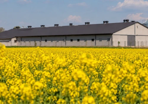 100 tys. zł na gospodarstwo. Nabór wniosków rusza 2 września, ale są warunki
