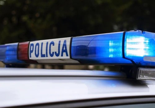 Fałszywe ogłoszenia o sprzedaży broni i najmie domków. Setki zarzutów
