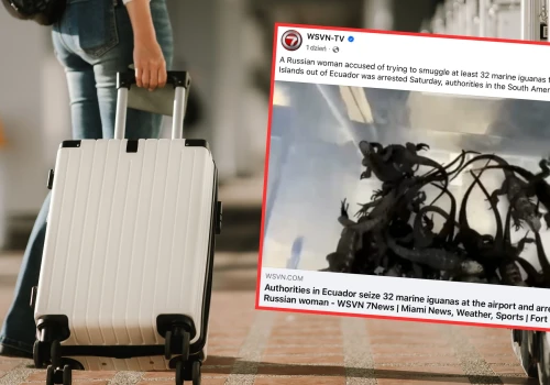Rosjanka zatrzymana na lotnisku w Ekwadorze. W walizce miała 32 legwany morskie