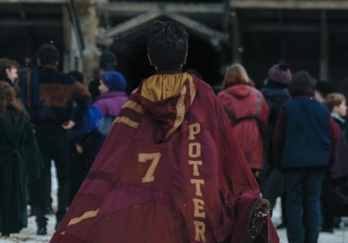 Nowy serialowy Harry Potter od HBO Max zawodzi. Nowe herby domów Hogwartu wywołały oburzenie fanów