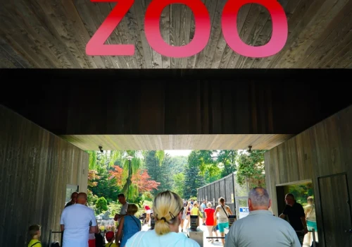Polskie zoo ma wyjątkową atrakcję. Zwierzęta zobaczymy z wysokości