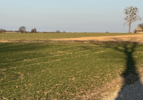 Ubezpieczenia rolne po nowemu. Od 1 września ważne zmiany dla tych gospodarstw