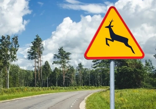Kto zapłaci za rozbite auto? Brutalna prawda o znaku A-18b