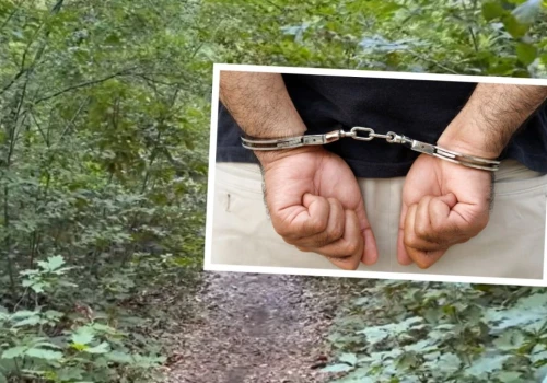 Przełom w śledztwie: Policja ujęła podejrzanego o morderstwo w Kędzierzynie-Koźlu? Śledczy zapowiadają konferencję