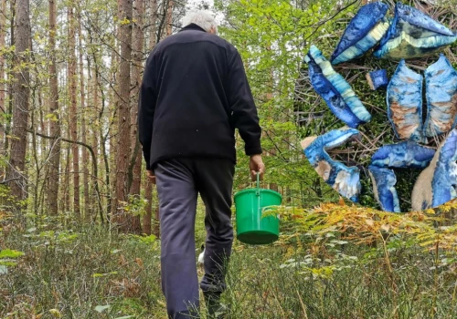 Wygląda jak z 