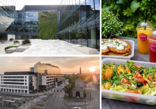 Zielone Patio to zielona oaza w sercu Szczecina. Tu obiad smakuje jak chwila relaksu