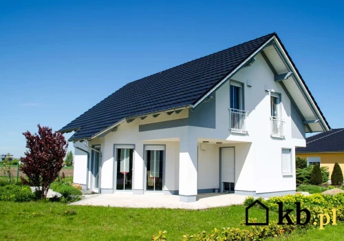 Dlaczego niektóre domy są chłodne nawet bez klimatyzacji? Decyduje kilka rzeczy