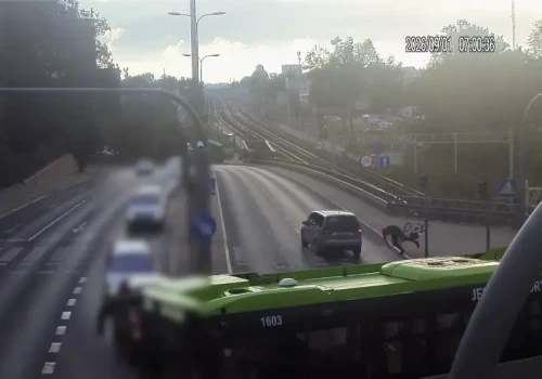 77-letni kierowca forda potrącił rowerzystę i stracił prawo jazdy