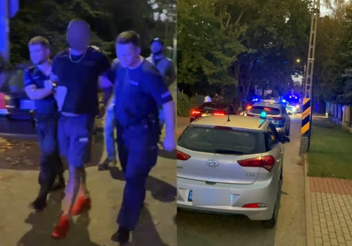 Uciekał z nożem przed policjantami, znajoma wynosiła sejf z narkotykami i nabojami. Areszt dla 39-latka z Zielonki
