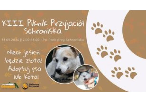 XIII Piknik Przyjaciół Schroniska już 13 września w Toruniu