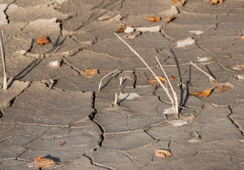 Bezpieczeństwo żywnościowe wobec zmiany klimatu. Znikną niektóre pola uprawne