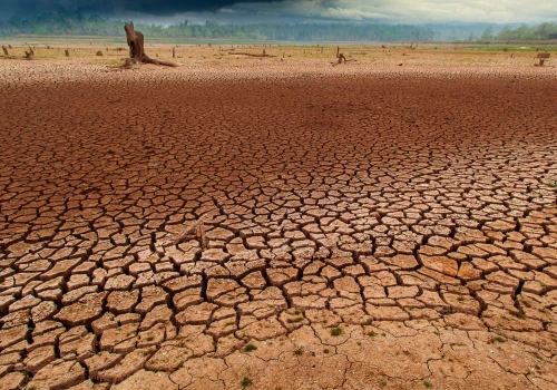El Niño coraz silniejsze. Czy przejdzie do historii?
