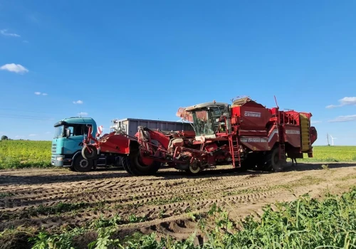 Rusza zbiór buraków. Ile kosztuje kombajn? Takie są stawki za hektar w 2026