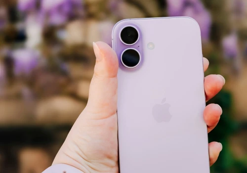 Jak i kiedy zacząć oczyszczać technologiczne przedpole?