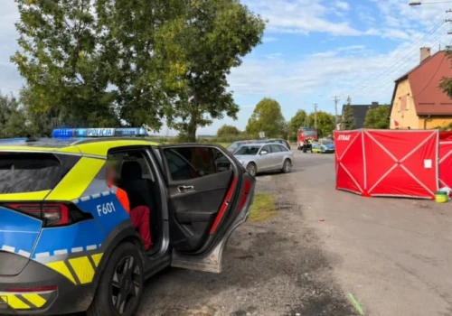 Tragedia pod Sieradzem. 32-latka potrącona przez śmieciarkę, zginęła na oczach dzieci