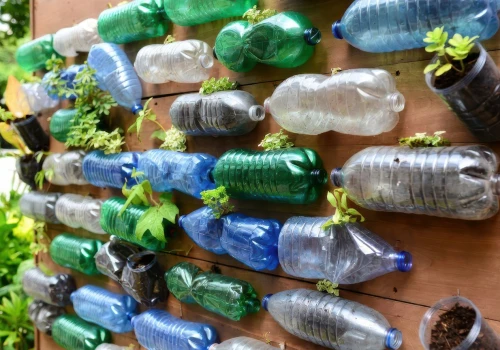 Nie wyrzucaj plastikowej butelki. W doniczce może podlewać roślinę prawie za ciebie