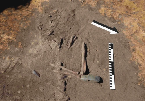 Sensacja pod Żórawiną. Badali cmentarz sprzed 1600 lat, znaleźli kurhan sprzed 5000 lat