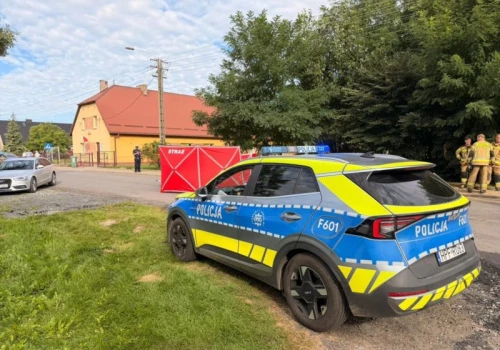 Potworny wypadek w gminie Złoczew. Zginęła kobieta, która przechodziła z dziećmi przez jezdnię