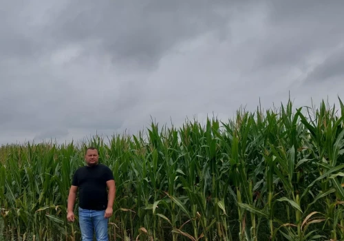 Pensje wzrosły 13 razy, a ceny zbóż nawet nie 2 razy. Rolnik: „Kto młody przejmie gospodarstwo?”