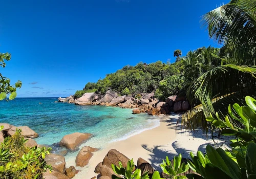 Ferie w raju na ziemi 🌴😍 Seszele za 3826 PLN ✨ Loty Turkish Airlines i apartament 🥰