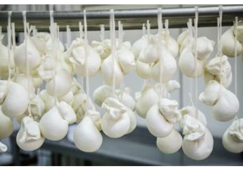 Zapomnij o mozzarelli z zalewy. Ten ser topi się idealnie i nie puszcza ani kropli wody