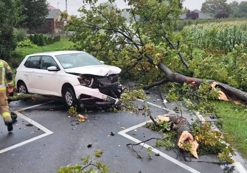 Zacznie się po 15:00. Drzewa spadną na samochody, wyłączą prąd