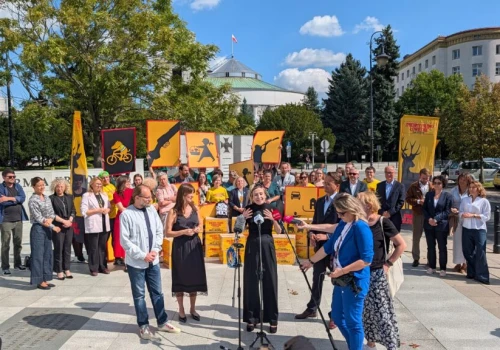 200 tys. podpisów za rewolucją w polowaniach. Społeczna ustawa trafi do Sejmu