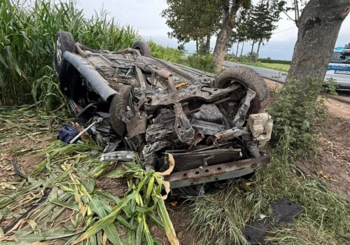Toyota uderzyła w drzewo i dachowała. 57-latka zginęła na miejscu