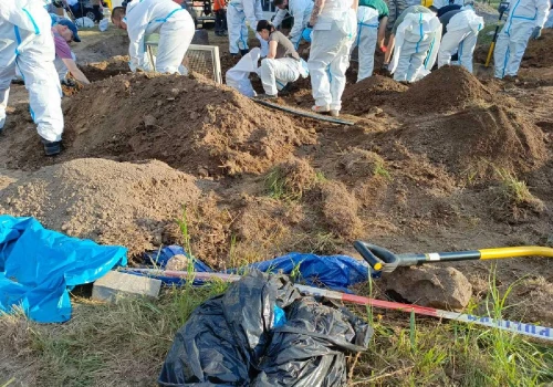 Na działce w Lutoryżu mogło być więcej niż 34 płody. Będzie przedłużenie aresztu dla patomorfolog?