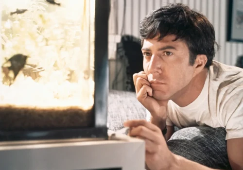 „Absolwent” wraca do kin. Dustin Hoffman, pani Robinson i najsmutniejsza jazda autobusem w historii kina