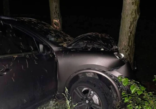 Pijany Ukrainiec z zakazem jazdy rozbił na drzewie Porsche