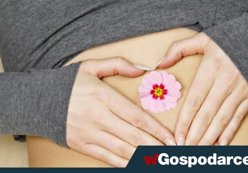 Zmiany w jelitach mogą wyprzedzać cukrzycę o kilka lat. Co mówi nauka?